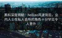 黑料深度揭秘：heiliao风波背后，业内人士在私人会所的角色十分罕见令人意外