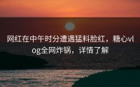网红在中午时分遭遇猛料脸红，糖心vlog全网炸锅，详情了解