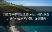 网红在中午时分遭遇tangxin引发联想，糖心vlog全网炸锅，详情曝光