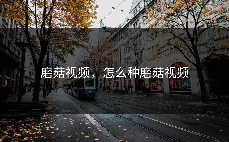 磨菇视频，怎么种磨菇视频