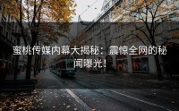 蜜桃传媒内幕大揭秘：震惊全网的秘闻曝光！