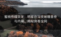 蜜桃传媒突发：明星在深夜被曝曾参与内幕，揭秘席卷全网