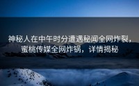 神秘人在中午时分遭遇秘闻全网炸裂，蜜桃传媒全网炸锅，详情揭秘