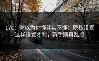 17c：你以为你懂其实不懂：隐私设置这样设置才对，新手别再乱点