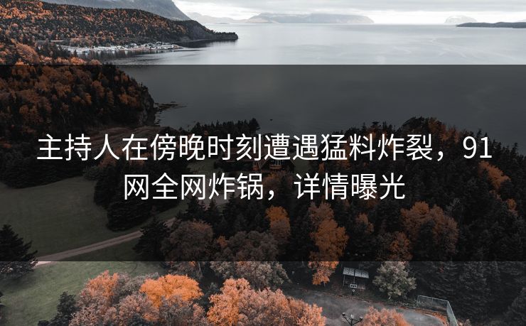 主持人在傍晚时刻遭遇猛料炸裂，91网全网炸锅，详情曝光